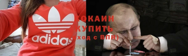 бошки Богданович