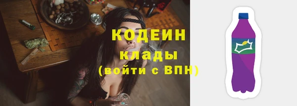 ешки Бородино