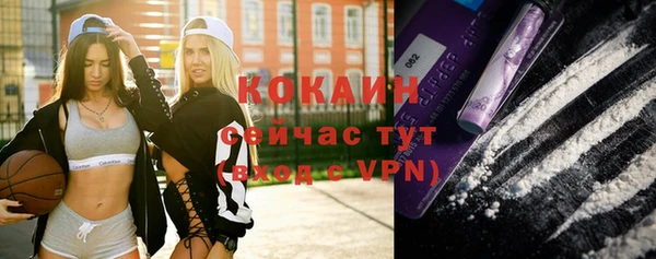 ешки Бородино