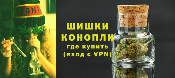 ешки Бородино