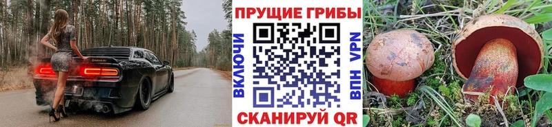 Псилоцибиновые грибы Psilocybe  цены   Вилюйск 